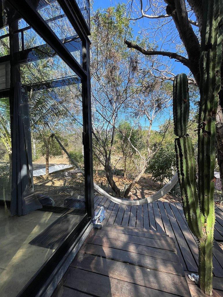 Bungalow Cactus