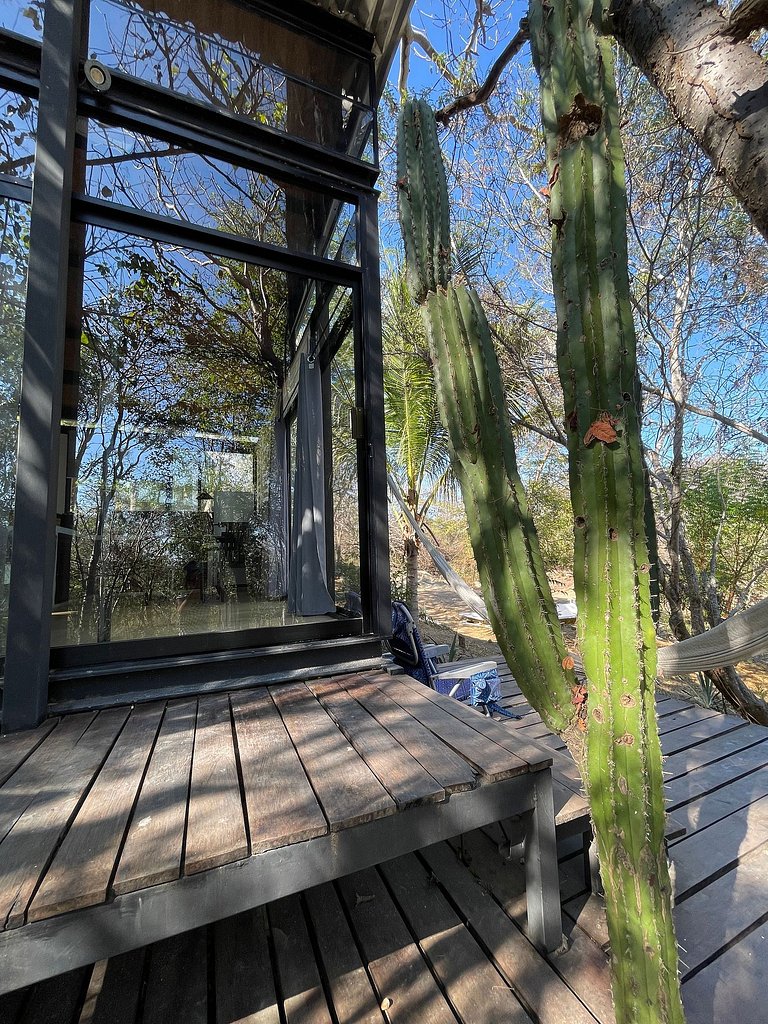 Bungalow Cactus